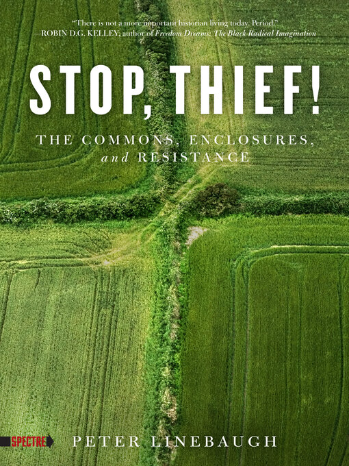 Title details for Stop, Thief! by Peter Linebaugh - Available